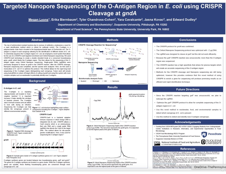 Thumbnail of ABASM 2025 poster