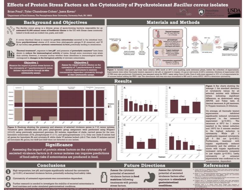 Thumbnail of ABASM 2024 poster
